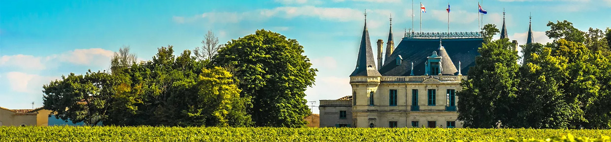 Bordeaux Wein Region