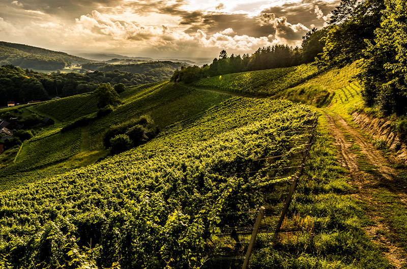 Harkamp Landschaft