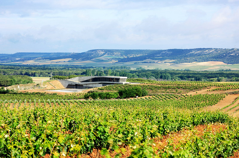 Bodega Tresmano